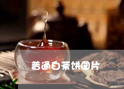 普通白茶饼图片/2023060171926