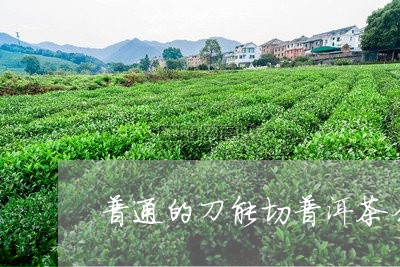 普通的刀能切普洱茶么/2023092812614