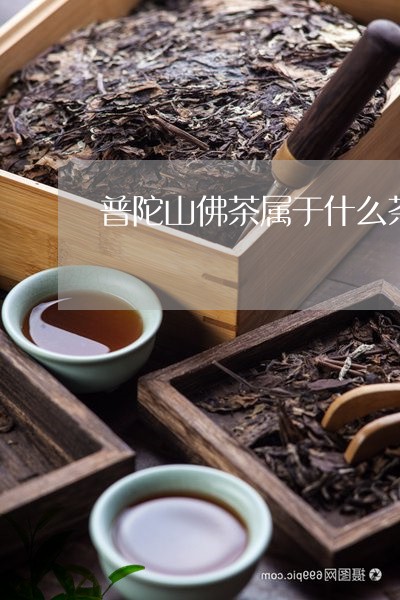 普陀山佛茶属于什么茶/2023071658471