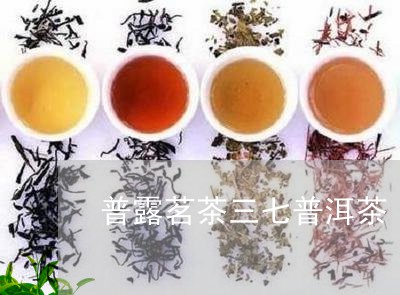 普露茗茶三七普洱茶/2023080340603