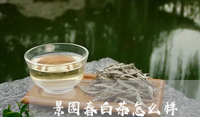 景园春白茶怎么样/2023062140715