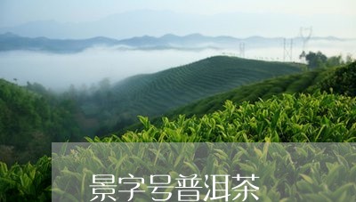 景字号普洱茶/2023042749594