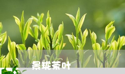 景珑茶叶/2023110808482