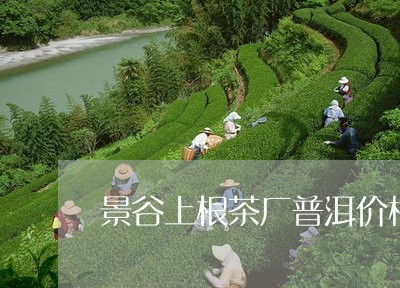 景谷上根茶厂普洱价格/2023092451406