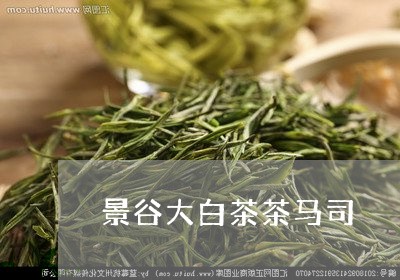 景谷大白茶茶马司/2023062106393