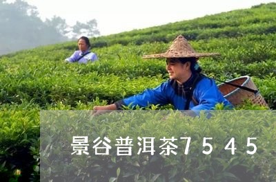 景谷普洱茶7545/2023101790493