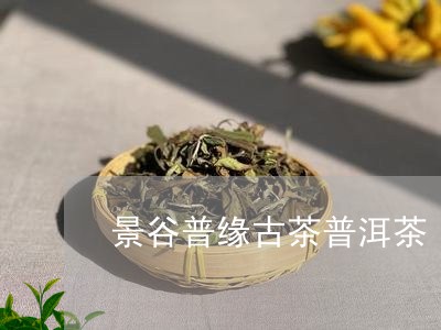 景谷普缘古茶普洱茶/2023120563916