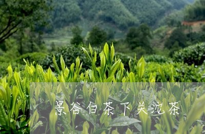 景谷白茶下关沱茶/2023062162147