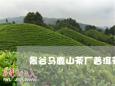 景谷马鹿山茶厂普洱茶/2023093062924