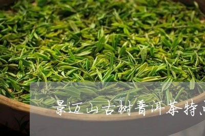 景迈山古树普洱茶特点/2023092888849