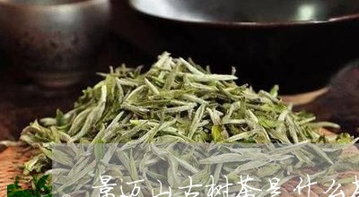 景迈山古树茶是什么茶/2023092152726