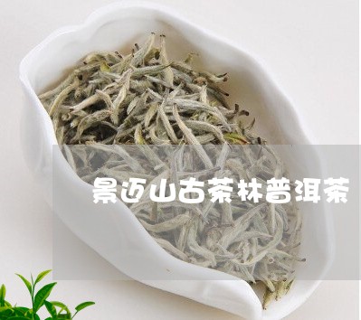 景迈山古茶林普洱茶/2023091519370