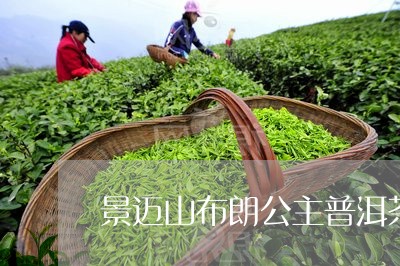 景迈山布朗公主普洱茶/2023061847169