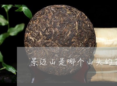 景迈山是哪个山头的茶/2023092028593