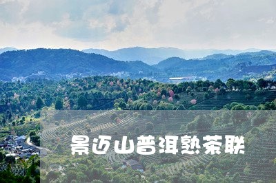 景迈山普洱熟茶联/2023042772948