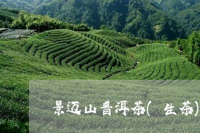 景迈山普洱茶(生茶)/2023100739460