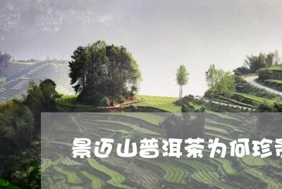 景迈山普洱茶为何珍贵/2023093060491