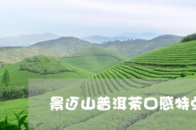 景迈山普洱茶口感特点/2023073149593