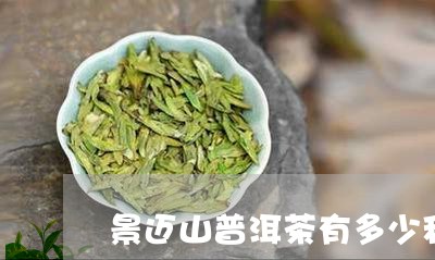 景迈山普洱茶有多少种/2023061653614