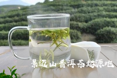 景迈山普洱茶起源地/2023110945249