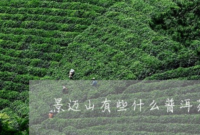 景迈山有些什么普洱茶/2023073106937