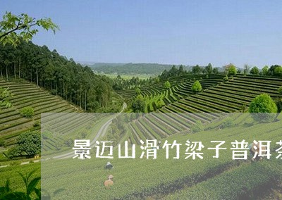 景迈山滑竹梁子普洱茶/2023092785360