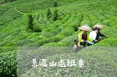 景迈山老班章/2023090733847