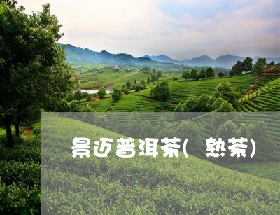 景迈普洱茶(熟茶)/2023070976269