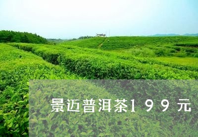 景迈普洱茶199元/2023120554948