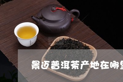 景迈普洱茶产地在哪里/2023072487503