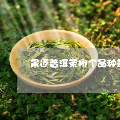 景迈普洱茶哪个品种最好/2023110172593