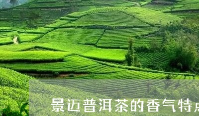 景迈普洱茶的香气特点/2023061859573