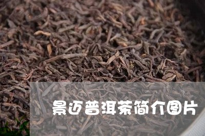 景迈普洱茶简介图片/2023083151584