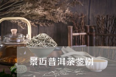 景迈普洱茶鉴别/2023120349482