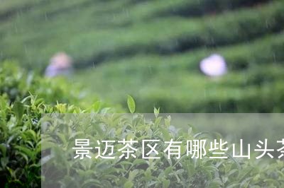 景迈茶区有哪些山头茶/2023092098269