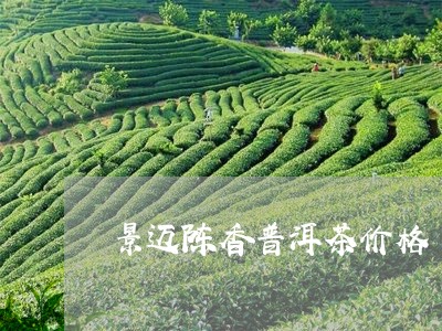 景迈陈香普洱茶价格/2023091595059