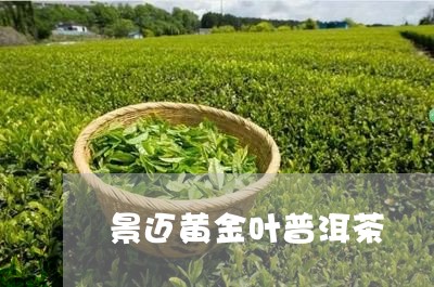 景迈黄金叶普洱茶/2023083199492