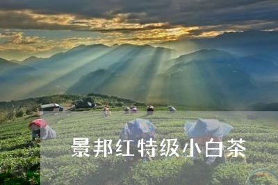 景邦红特级小白茶/2023111736372