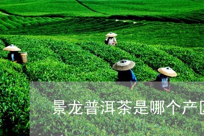 景龙普洱茶是哪个产区/2023072423936