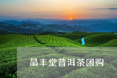 晶丰堂普洱茶团购/2023120467148