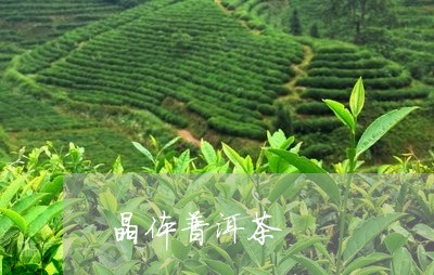 晶体普洱茶/2023090526373