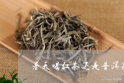 暑天喝红茶还是普洱茶/2023100639369