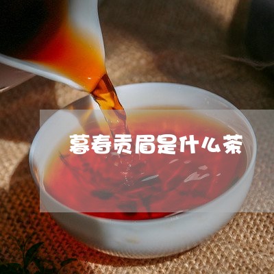 暮春贡眉是什么茶/2023062136380