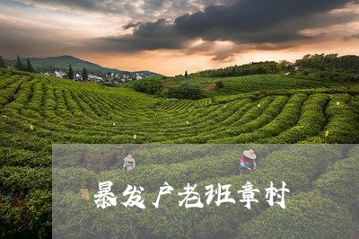 暴发户老班章村/2023042975967