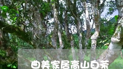 曲美家居高山白茶/2023062144048