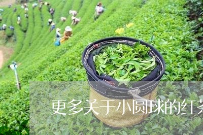 更多关于小圆球的红茶的问题/2023052648599