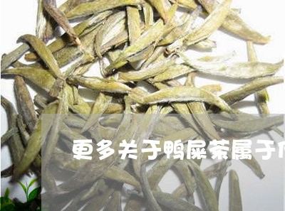 更多关于鸭屎茶属于什么茶的问题/2023060200581