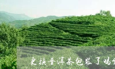 更换普洱茶包装了吗能退吗/2023082888471