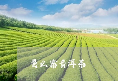 曼么寨普洱茶/2023042550471