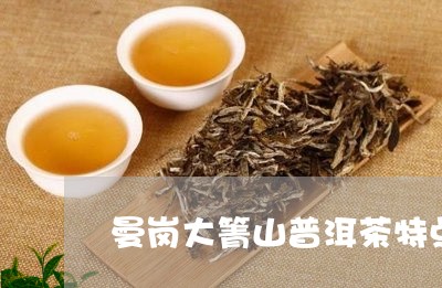 曼岗大箐山普洱茶特点/2023111051615